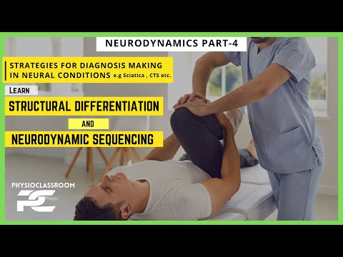 Conceptual Framework of Neurodynamics Treatment Approach The 3 Part System