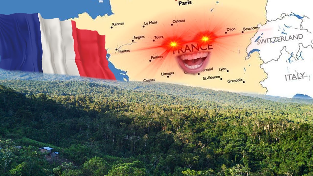 🌳França com fome de Amazônia