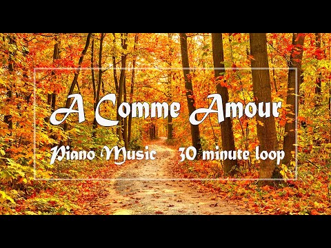 A Comme Amour Piano Music 30 minute loop | relaxing music | working background music 秋日私语钢琴曲
