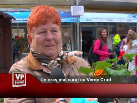 Un oraş mai curat cu Verde Crud