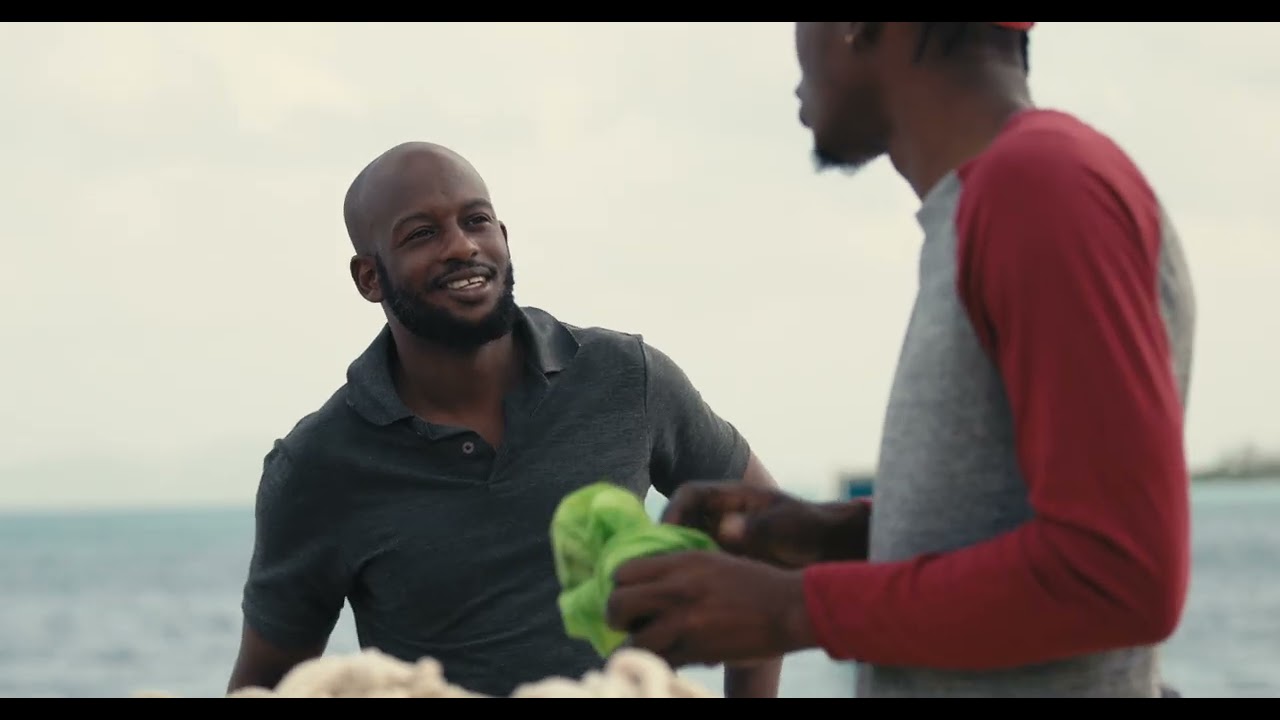 Wetlands, Reefs and Recovery: Grenada Sustainable Development Trust Fund | CBF NCTF Stories