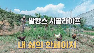 【서산농부 밭캉스】 내 삶의 한페이지 | 시골라이프 