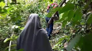 preview picture of video 'Air Terjun Ceuraceu, Pandrah, Kabupaten Bireuen, Provinsi Aceh - Indonesia'