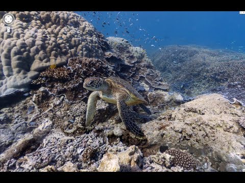 Tech Tip: Explore the Ocean with Google Maps!