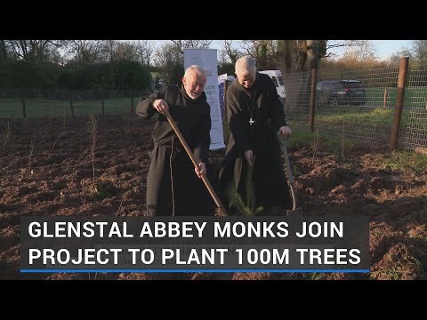 Glenstal Abbey monks join project to plant 100m trees