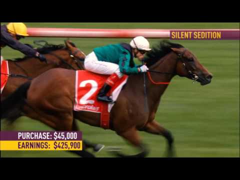 2017 Perth Yearling Sale Preview