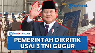 Pemerintah Dikritik Usai 3 TNI Gugur di Lebanon, Diminta Evaluasi Keterlibatan Misi Perdamaian PBB