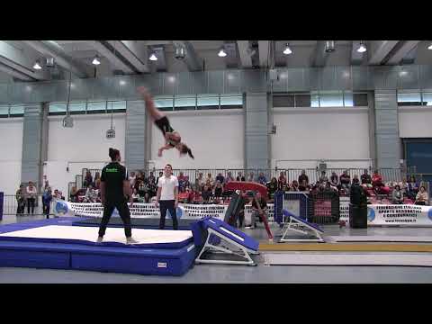 TRIO TRAMPET - Senior Men ITA - Flyer Gym - Open International Teamgym - Gorizia 2017