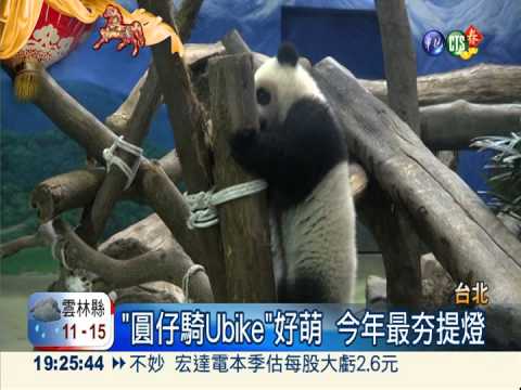 "圓仔騎Ubike" 最夯提燈明發放!