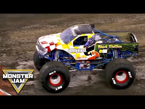 Monster Jam 2020 | Raymond James Stadium | Tampa, FL 2 | Monster Jam