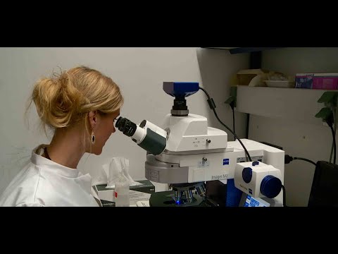 NCL Stiftung – Germany - Joss Stone Foundation