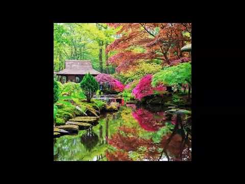 (FREE) « ZEN » - Maes x Booba Type Beat Instrumental Rap 2021