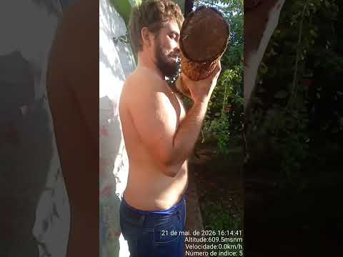 Barão de Antonina a melhor academia