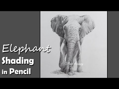 Mountains and Pine Tress Watercolor Pencil Landscape Drawing | steps to follow