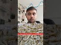 How To Export Fish A Z Information Fish Export Import Business How To Export Sea Food From India