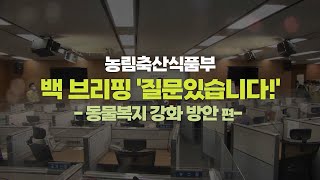 동물복지강화 방안 | 백브리핑 '질문있습니다'