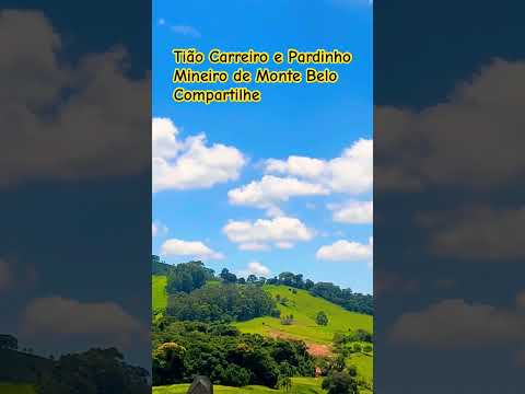 Tião Carreiro e Pardinho. Mineiro de Monte Belo.