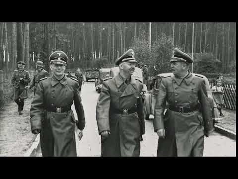 The Dark Truth Behind Hitler’s Lebensborn Program | Nazi Breeding Farm Exposed”