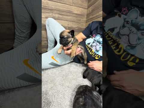 Video 1