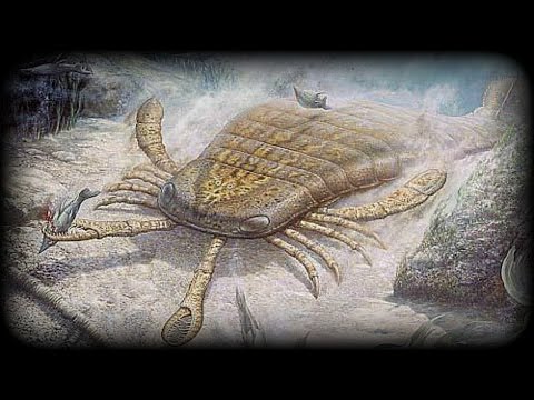Prehistoric Beasts - Jaekelopterus - Documentary - Biggest Scorpion to Exist!