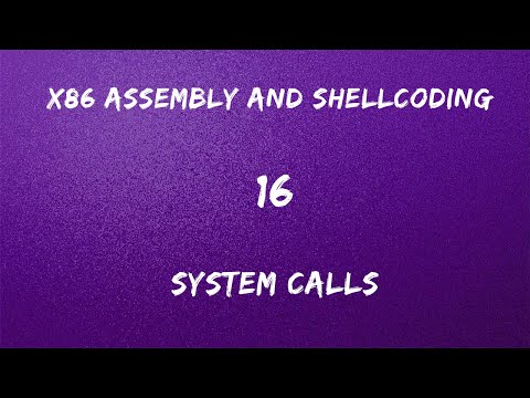 x86 Assembly and Shellcoding - 16 System Calls