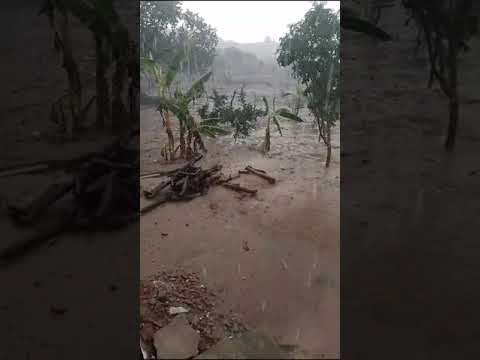 forte chuva hoje a tarde no meu sitio na roça em Novo Triunfo Bahia