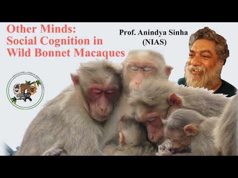 Other Minds: Social Cognition in Wild Bonnet Macaques - Prof. Anindya Sinha