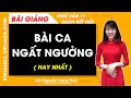 Bài ca ngất ngưởng | Ngữ văn 11 - Kết nối tri thức