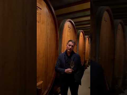 Champagne Vilmart Intro Video