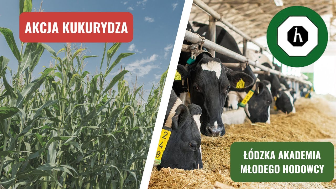 OHZ w Dębołęce gościł Łódzką Akademię Młodego Hodowcy