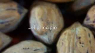 preview picture of video 'Queso de Cabra Beee Original + Nuez [video ingrediente]'