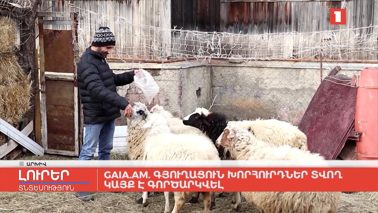Gaia.am | Գյուղացուն խորհուրդներ տվող կայք է գործարկվել