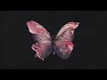 Before You Exit - Silence (Official Audio)