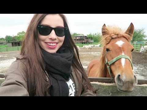 ASD jak wziąć impotencję Sierp i torus kinopoisk