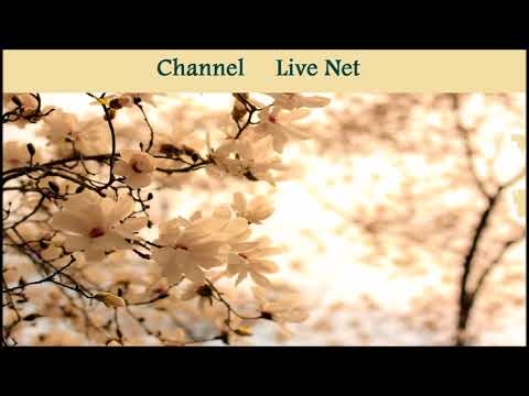 اريام صوتك يكفيني