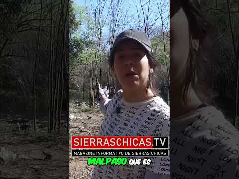 Limpieza Río Suquía - La Calera Renace Verde y Limpio #sierraschicas #noticias #lacalera  #cordoba