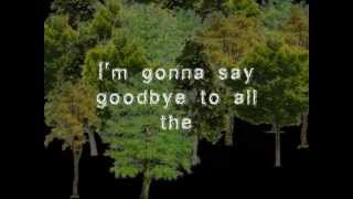 Mother Mother - Bit By Bit - lyrics