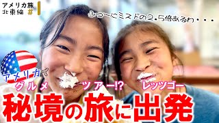 【アメリカ北東旅#1】New England目指して出発|それともドーナッツを巡る旅か?