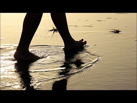 download lagu mp3 mp4 Dr Joe Dispenza Walking Meditation 4, download mp3 Dr Joe Dispenza Walking Meditation 4 free download mp3, download mp3 Dr Joe Dispenza Walking Meditation 4