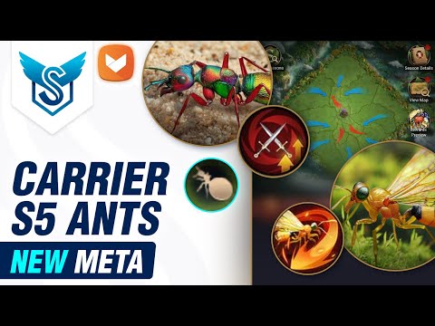 S5 Carrier Meta: Golden Chaser + Rainbow Scarlet – The Ants: Underground Kingdom [EN]