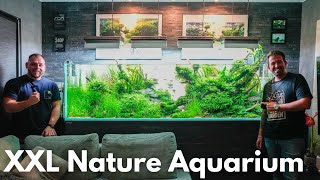 1000L Nature Aquarium bei Mario zu Hause!