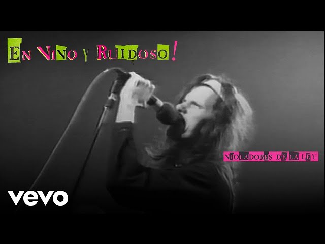 Los Violadores - Violadores de la Ley (En Vivo) (Official Video) Los Violadores - Violadores de la Ley (En Vivo) (Official Video)
