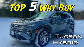 2025 Hyundai Tucson Hybrid Ultimate AWD Review  - Top 5 Reasons to BUY