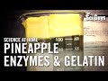 Pineapple Enzymes and Gelatin - The Sci Guys: Science at Home Pineapple Enzymes and Gelatin - The Sci Guys: Science at Home