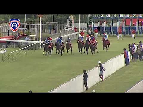 RM8 R2 | Hamaan | O.Plaçais