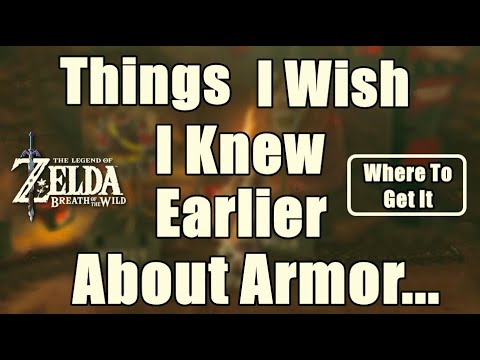 I Wish I Knew Earlier in Zelda Breath of The Wild #7 Armor