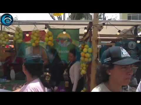 La feria del café en San Antonio Tolima, terminó siendo un evento político | CAMBIO IN
