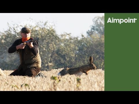 Hare shoot - massive pest control day