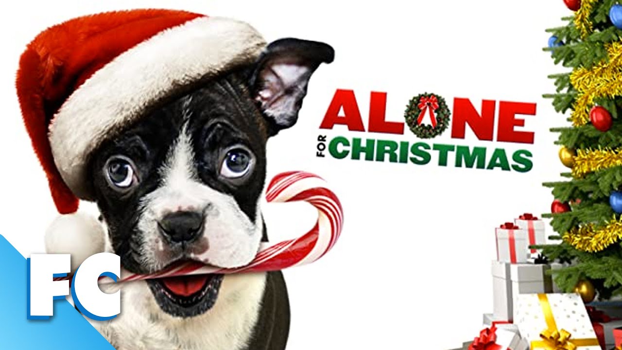 Alone For Christmas | Full Family Christmas Comedy Dog Movie | Kevin Sorbo | Family Central