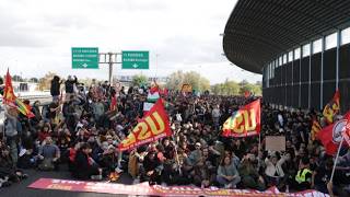 Bologna, il video del racconto corteo contro il carovita da piazza Maggiore fino all'invasione di...